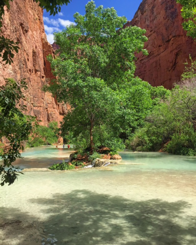 Havasupai Travel Guide 11