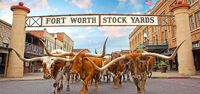 8 Reasons Fort Worth is Our Favorite Family Destination This Year hero image