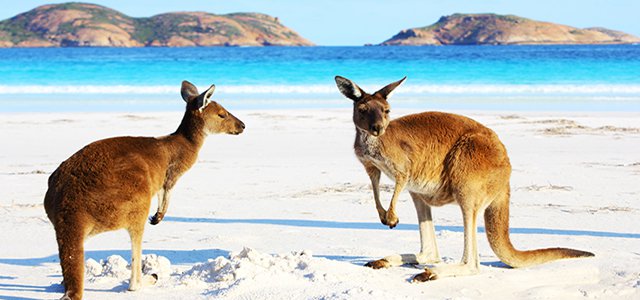 18 Slang Words to Know if You’re Visiting Australia hero image