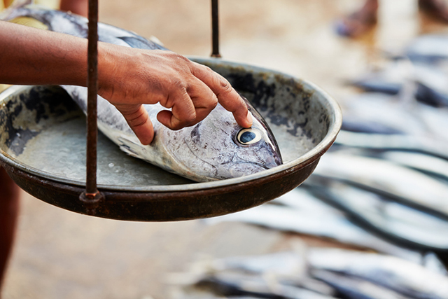 Fish market