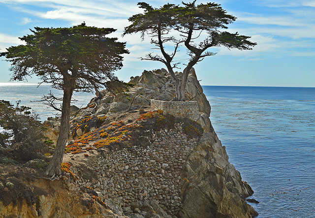 Pebble Beach Road Trip