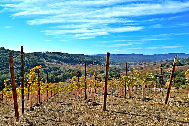 Paso Robles Road Trip Guide