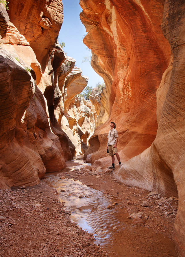 Zion National Park